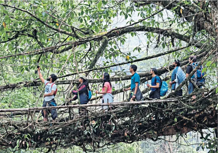  ?? ?? i All aboard: cross the double-decker living root bridge as part of the Nongriat trek in Meghalaya