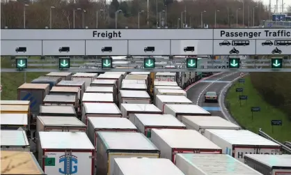  ??  ?? ‘Europe has slammed its gates shut to us days before Britain was due anyway to self-isolate permanentl­y with Brexit.’ Lorries queue to enter the Eurotunnel site in Folkestone, Kent, on Friday. Photograph: Gareth Fuller/PA