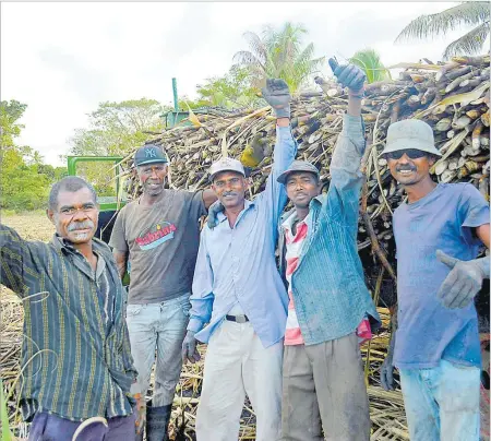  ?? Picture: BALJEET SINGH ?? Cane farmers after loading a lorry at Rarawai in Ba. The Ministry of Sugar Industry and Multi-Ethnic Affairs has started preparing for the cane harvesting season as labour shortages loom around the country.