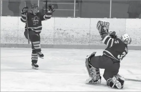  ?? \CAROLE MORRIS- UNDERHILL ?? Leafs goaltender Brett Davies celebrates after the Windsor-based team won in a shootout Dec. 8.