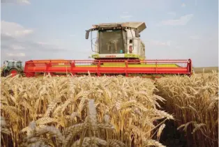  ?? — Reuters ?? A farmer harvests wheat in Marquion, near Cambrai, France.