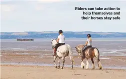  ??  ?? Riders can take action to help themselves and their horses stay safe