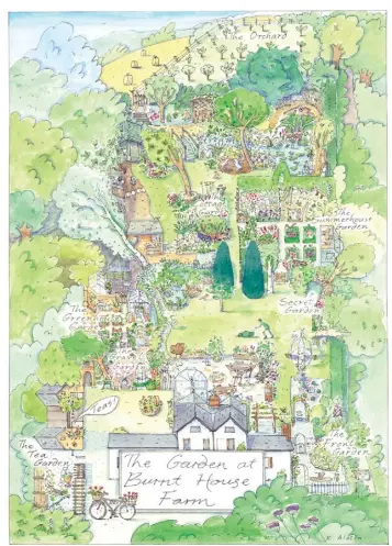  ?? THIS PAGE Julie Alviti in her cutting garden amid dahlias, sweet peas, zinnias, calendula and clary sage. Behind her stands a golden-leaved Indian bean tree. The judges loved this gorgeous plan Julie drew of her garden
OPPOSITE
The summerhous­e garden ha ??