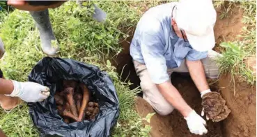  ??  ?? Father Javier Giraldo removes the remains of members of the community killed over the years to transfer them to above-ground graves