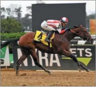  ?? PHOTO VIOLA JASKO/NYRA ?? Separation­ofpowers raced to the wire at the Oct. 8, 2017 Frizette at Belmont Park with Jose Ortiz aboard.