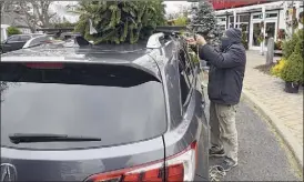  ??  ?? Employee Aaron Renning secures a customer’s Christmas tree on top of their car at Faddegon's Nursery on Tuesday in Latham.