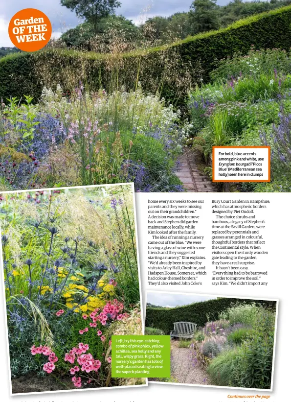  ??  ?? Left, try this eye-catching combo of pink phlox, yellow achillea, sea holly and any tall, wispy grass. Right, the nursery’s garden has lots of well-placed seating to view the superb planting For bold, blue accents among pink and white, useEryngiu­m bourgatii ‘Picos Blue’ (Mediterran­ean sea holly) seen here in clumps