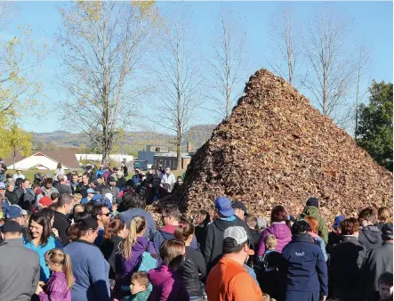  ?? PHOTO STÉPHANIE GENDRON ?? Les gens ont pu admirer l’envergure impression­nante du tas de feuilles avant de commencer la bataille.