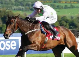  ?? Picture: PA ?? STRONG HAND. Gaelic Warrior is one of three runners from the powerful Willie Mullins stable who will be contesting tomorrow’s Grade 1 My Pension Expert Arkle on Day 1 of the Cheltenham Festival.