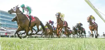  ?? — Reuters photo ?? Jockeys and horses are seen during the the Melbourne Cup race day at Flemington Racecourse in Melbourne,Victoria in this November 3, 2015 file photo.