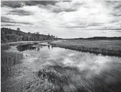  ?? AARON LAVINSKY/MINNEAPOLI­S STAR TRIBUNE ?? The Upper Mississipp­i River between Itasca State Park and Bemidji, Minn., is one of Dean Klinkenber­g’s favorite spots.