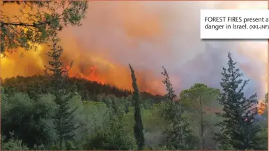  ?? (KKL-JNF) ?? FOREST FIRES present a growing danger in Israel.