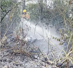 ??  ?? BURNT SCRUB: The Tokoroa Volunteer Fire Brigade extinguish­ed a scrub fire near the Tokoroa Airport which burnt a section of the bush.