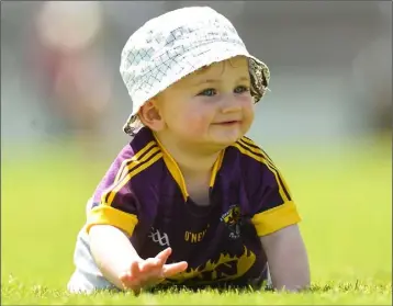  ??  ?? Eight-month-old Caolan Malone, son of midfielder Brian and nephew of Glen, was one of the few Wexford folk who enjoyed themselves in the Innovate Wexford Park sunshine on Saturday.