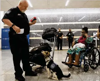  ?? ALYSSA POINTER / ALYSSA.POINTER@AJC.COM ?? Chevee, a detector dog for Customs and Border Protection, looks to handler R. Adams on Wednesday after finding a fish in a traveler’s luggage at the Atlanta airport.