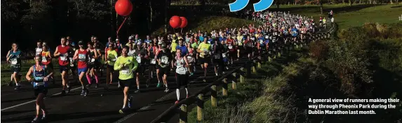  ??  ?? A general view of runners making their way through Pheonix Park during the Dublin Marathon last month.