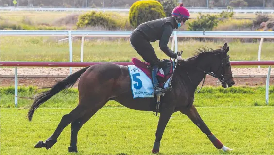  ?? ?? Twilight Payment during trackwork at Werribee on October 22, 2021 in Werribee, Australia. (Brett Holburt/Racing Photos via Getty Images)