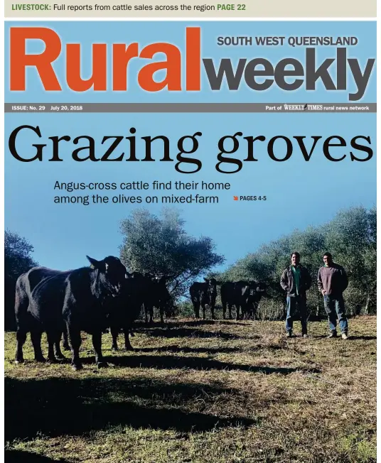  ?? PHOTO: CONTRIBUTE­D ?? FAMILY FARM: Boaz and Yoni Meron among the cattle at Mcintyre Brook Grove.