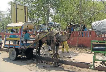  ?? Picture: SARA ESSOP ?? TAXI STOP: A Mumbai street scene from the writer’s recent trip