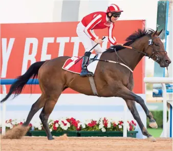  ?? Dubai Racing Club ?? Salute The Soldier had won Round 2 of the Al Maktoum Challenge last month. —