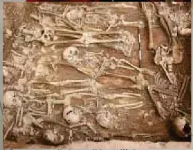  ?? CULTURIZAN­DO.COM ?? La peste negra apareció y desapareci­ó durante 400 años.