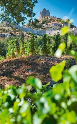  ??  ?? Planté sur du granite, le vignoble de Saint-Péray livre des roussannes et marsannes qui, du fait du réchauffem­ent, gagnent en fraîcheur et sapidité.