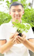  ?? ?? Kyler Sy’s drive to start Green Gulay started from his small vegetable tower in his backyard.