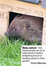  ??  ?? Help nature One thing people can do to help nature is build a hedgehog house or feeding station in their garden Picture: Gillian Day