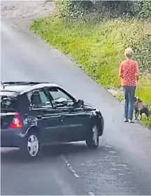  ??  ?? The Renault Clio lost control in Doe Bank Lane, Great Barr, before hitting the victim and her dog. Right: Kallum Aish