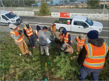  ?? PHOTOS COURTESY OF EBONY RICHARDSON — RUBICON LANDSCAPE GROUP ?? Rubicon Landscape Group, which has a community beautifica­tion program in the city of Richmond, hires California Volunteers’ Youth Job Corps service members.