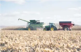  ??  ?? À 11 ans, le jeune Mathias est déjà passionné d’agricultur­e. Il transborde le maïs, seul à bord d’un tracteur de 140 ch; un travail qu’il effectue avec beaucoup de précaution.