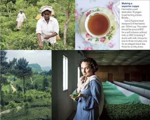  ??  ?? Clockwise from top left Pluckers harvesting at the Amba Tea Garden, Ravana Falls, Sri Lanka; the perfect brew; Henrietta Lovell; the Emerald Green harvest in Guizhou, China