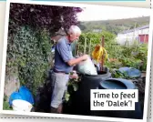  ?? ?? Time to feed the ‘Dalek’!