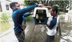  ??  ?? Cat-astrophe: Heri Wiyatno (right), 22, handing his cat over to his friend Mohd Qayummudin Mohd Sham, 17, while the neighbourh­ood of Taman Sungai Isap Damai was being evacuated in Kuantan. — Bernama