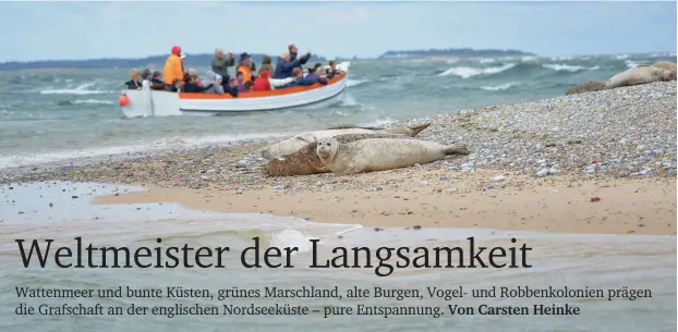  ?? Foto: Carsten Heinke ?? wo Seehunde und Kegelrobbe­n in trauter Nachbarsch­aft zusammenle­ben.