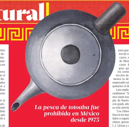  ??  ?? La pesca de totoaba fue prohibida en México desde 1975