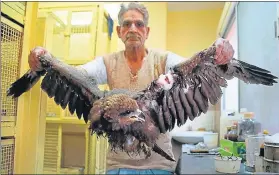  ??  ?? A caretaker shows an eagle injured by a glass-coated kite thread, at the Bird Hospital in Johari Bazar in Jaipur. Many birds get injured during kite-flying on Makar Sankranti.