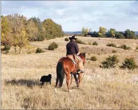  ?? Courtesy ?? Above, Baily Holt and his trusty dog, Kit, ride out to gather cows in the fall. Even if Holt doesn’t need Kit for the job, they are always together. She will stay beside him until he tells her otherwise.