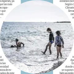  ?? ?? Dos niños y un hombre se bañan en la playa de la Barcelonet­a, en Barcelona, el pasado febrero.