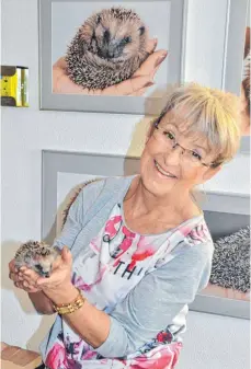  ?? FOTO: NIEDERER ?? Stolz zeigt Gerda Graf einen ihrer Schützling­e. Ihre Igel- und Tierliebe ist im ganzen Haus sichtbar.