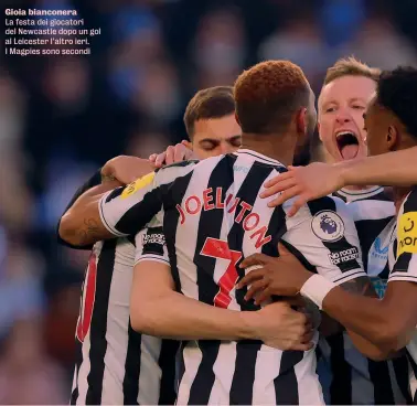  ?? ?? Gioia bianconera
La festa dei giocatori del Newcastle dopo un gol al Leicester l’altro ieri. I Magpies sono secondi