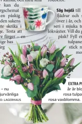  ?? FOTO: INTERFLORA ?? EXTRA PIFF. Kronan på verket i år är blombukett­en. Här syns rosa tulpaner, vit ranunkel och rosa vaxblomma.