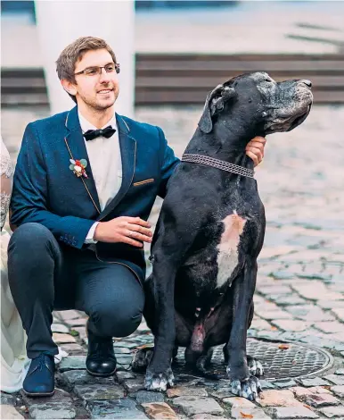  ?? ?? Wedding couples now include their dogs in the ceremony as guests, ring bearers or even best dog