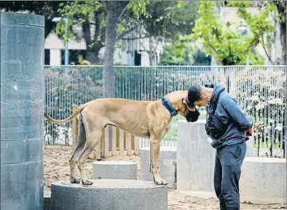  ?? ÀLEX GARCIA ?? Muchos espacios destinados al esparcimie­nto de los perros se antojan pequeños