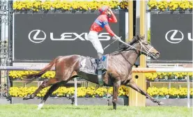  ?? Photo / Bruno Cannatelli ?? Verry Elleegant won the 2021 Melbourne Cup.