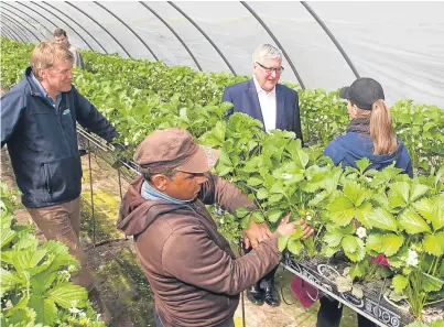  ?? Picture: Paul Reid. ?? Rural Economy Secretary Fergus Ewing, second right, chatting to a worker with fruit farmer James Porter, left, at East Scryne Farm near Carnoustie .