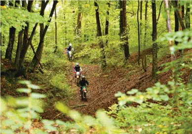  ??  ?? Ce genre de passage dans les bois est courant, une série de trous d’obus nous attend dans la foulée et là, il y a de quoi se défouler !