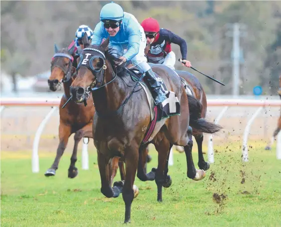  ?? Picture: AAP IMAGE/TRACKSIDE PHOTOGRAPH­Y ?? Jockey Ryan Maloney rides Capitulate to victory at Ipswich two starts back.