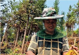  ??  ?? Un hombre produce miel ecológica en una granja en las montañas. Gracias a este tipo de actividade­s, sus ingresos, así como los de muchas personas de la etnia wa, han aumentado considerab­lemente.