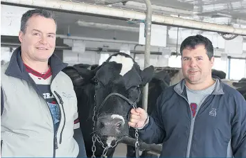  ??  ?? Dès leur jeune âge, Stéphane et Carl étaient certains de vouloir se lancer dans l’élevage de Holsteins.